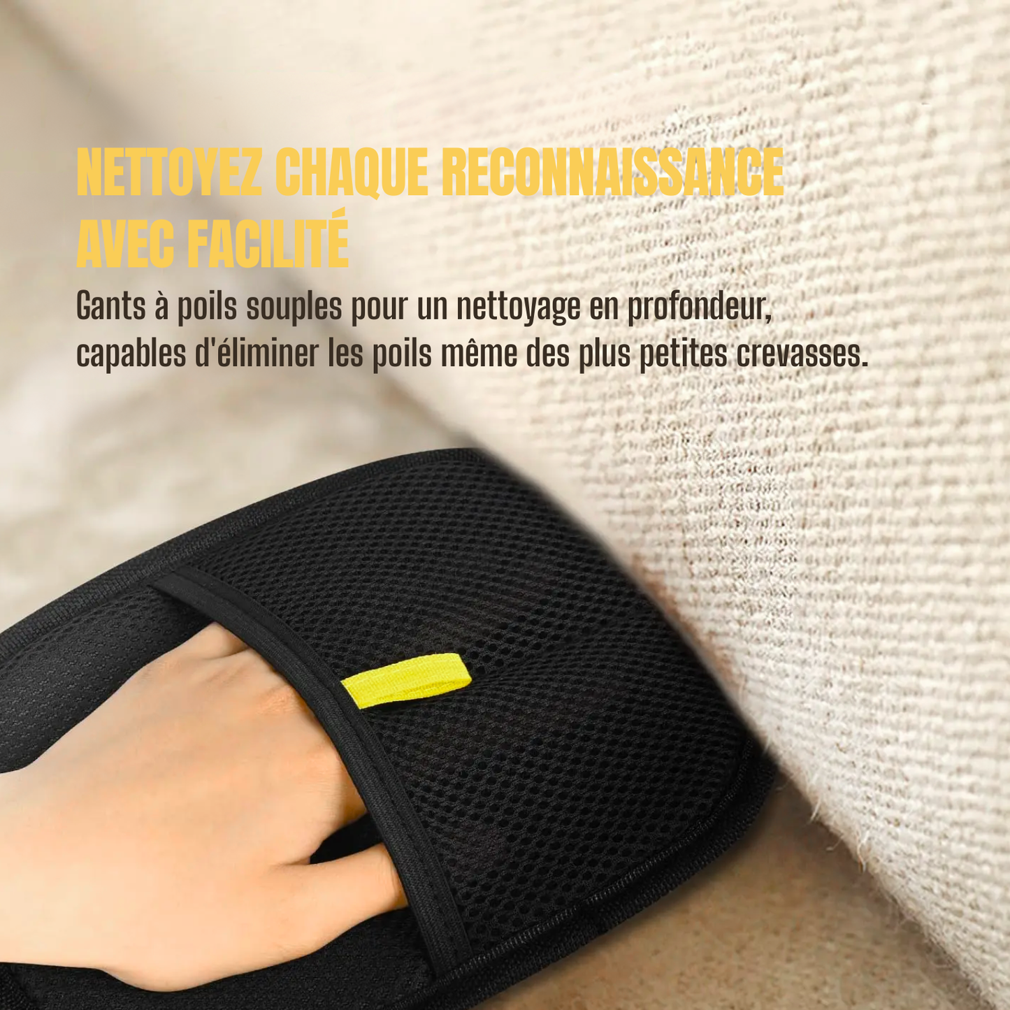 Nettoyage siège voiture avec gants anti-poils pour animaux de compagnie