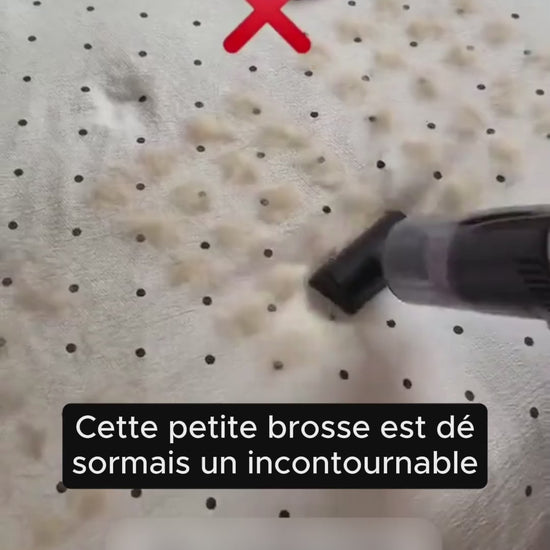 Gants électrostatiques pour l'épilation des poils d'animaux - Toilettage et élimination des poils pour chiens et chats - Réutilisables pour les meubles, les sièges de voiture et les tapis