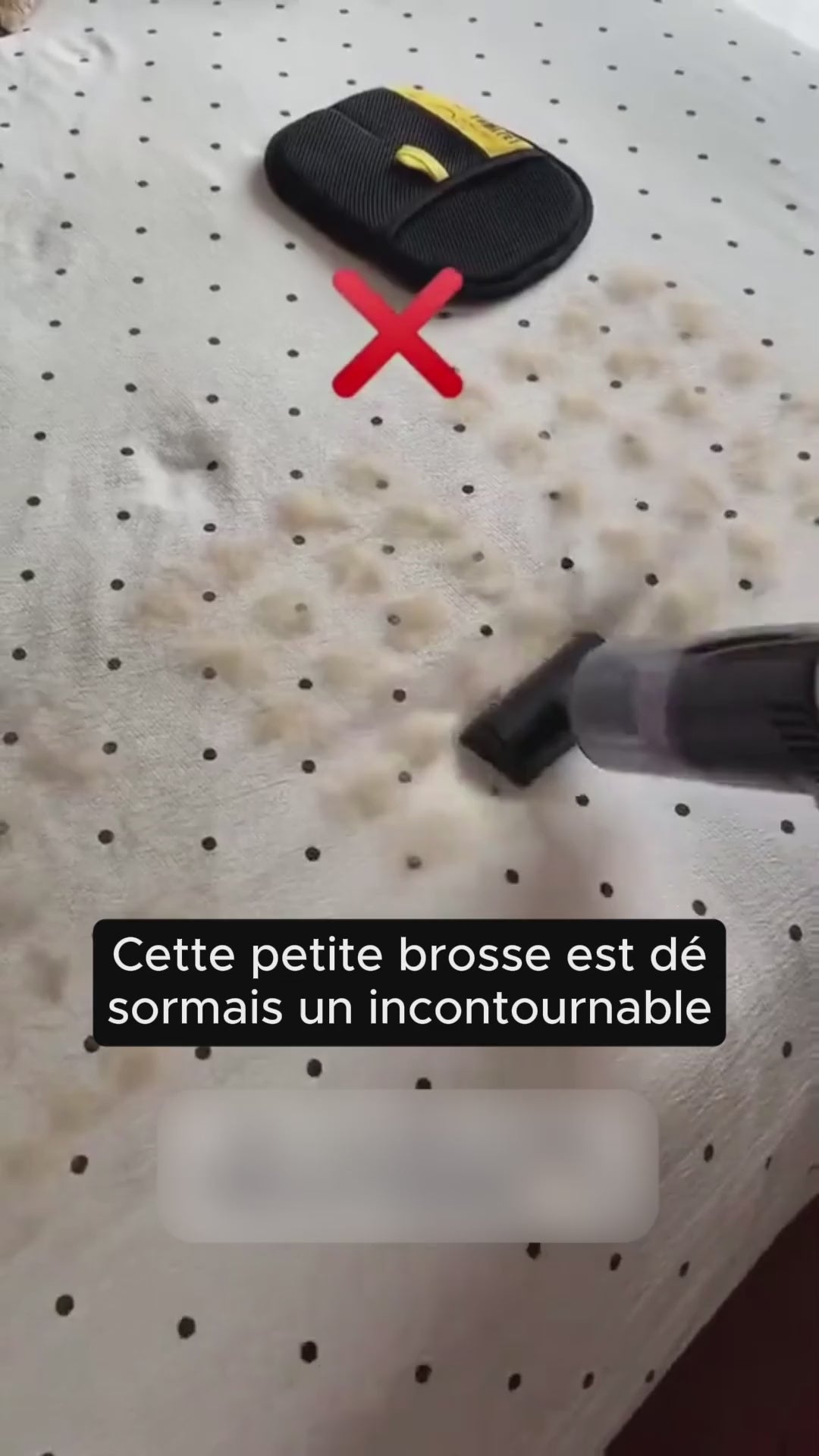 Gants électrostatiques pour l'épilation des poils d'animaux - Toilettage et élimination des poils pour chiens et chats - Réutilisables pour les meubles, les sièges de voiture et les tapis
