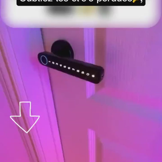 Capteur biométrique haute précision serrure intelligente Tuya déverrouillage empreinte
