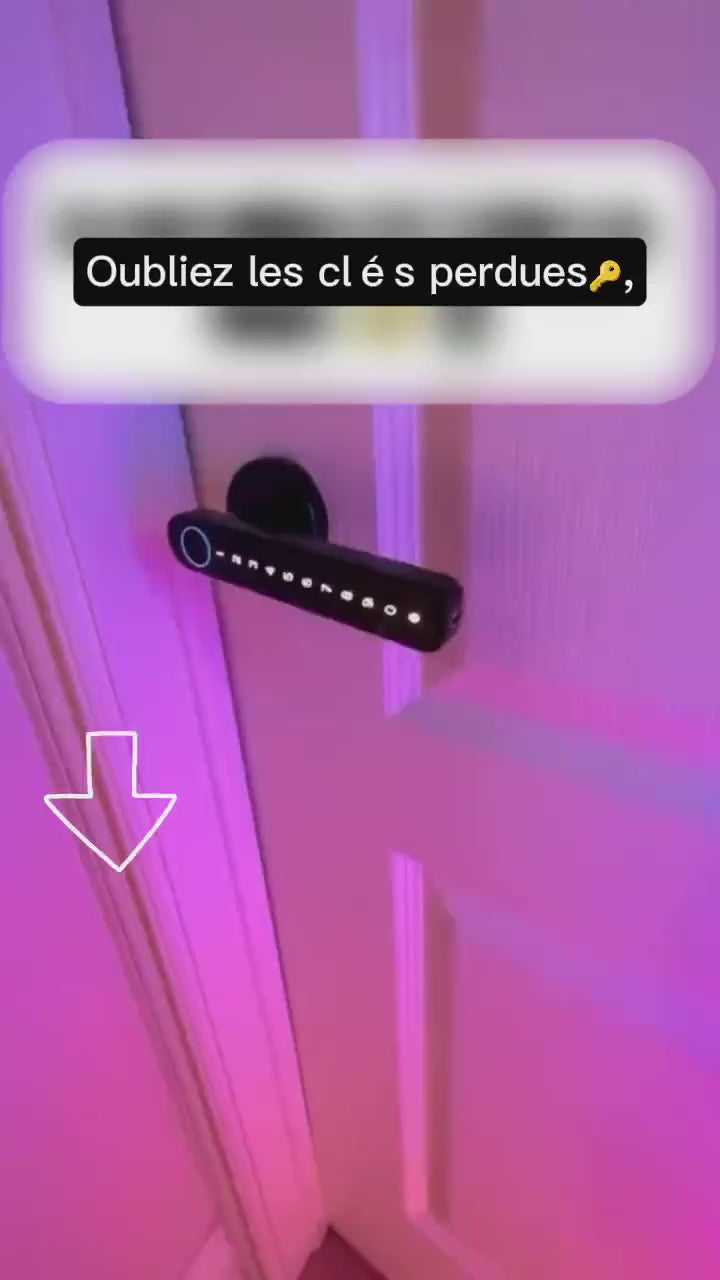 Capteur biométrique haute précision serrure intelligente Tuya déverrouillage empreinte
